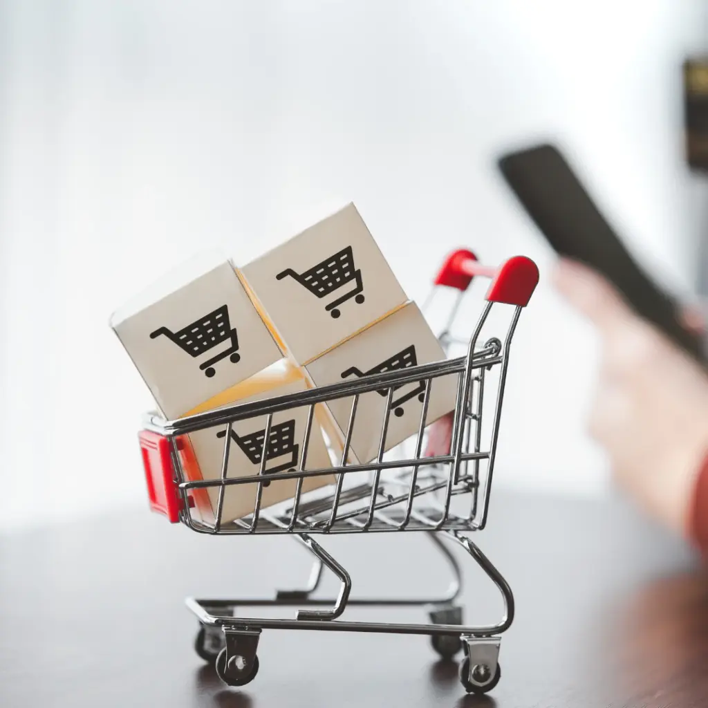 E-commerce with Sourcyness