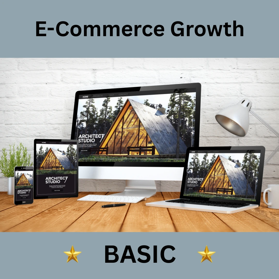 E-Commerce Growth - Basic